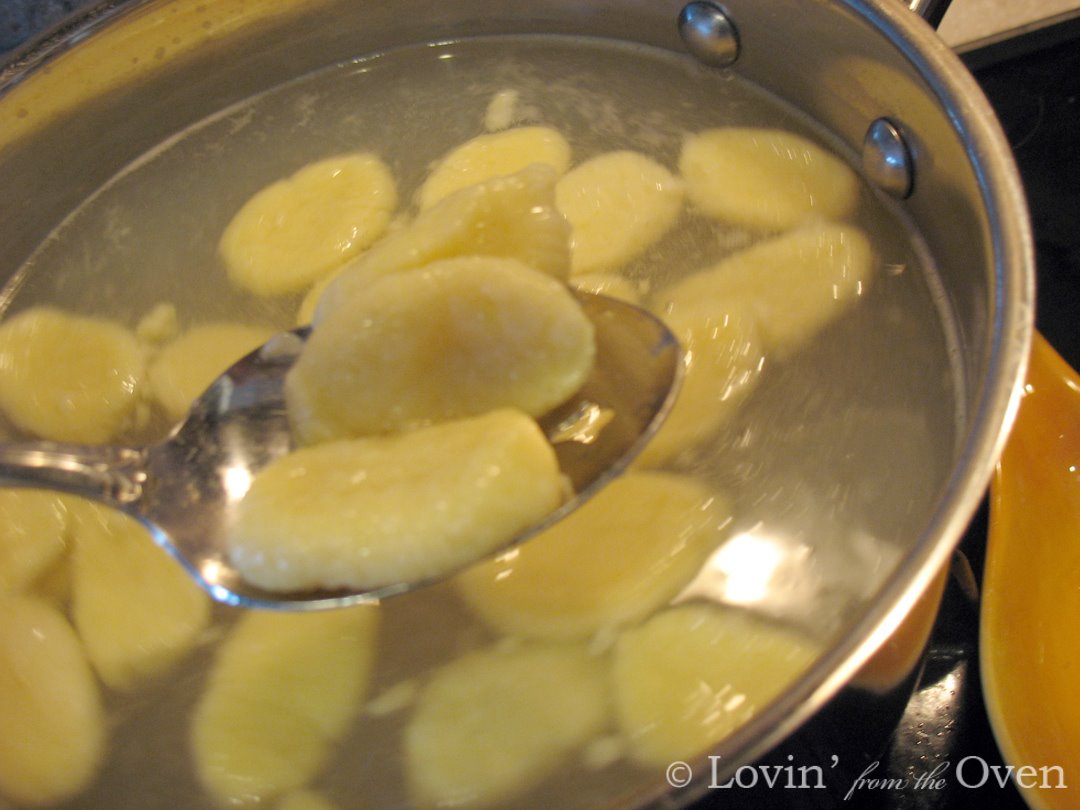 [Gnocchi+strain.jpg]