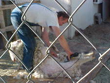 Danny shearing Falkor