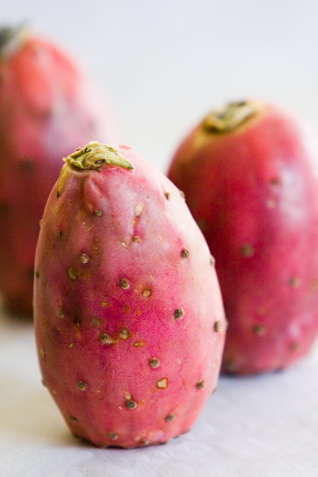 [prickly+pear+lemon+bars+2.jpg]