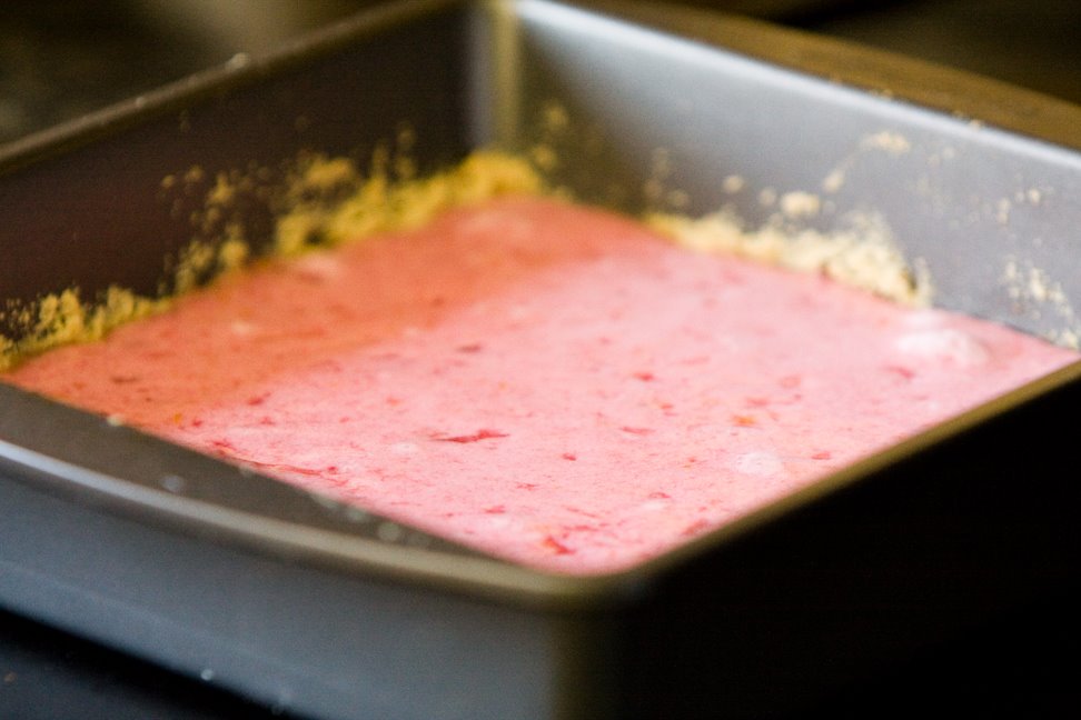 [prickly+pear+lemon+bars+5.jpg]