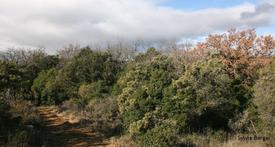 [Copie+(1)+de+IMG_2045.JPG]