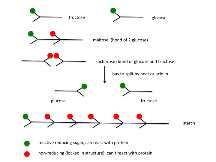 Cooking science and tradition Influence of type of sugar on color of
