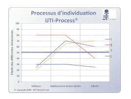 Identifiez le type psychologique et le processus d'individuation avec le IJTI-Process®