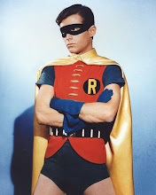 Robin The Boy Wonder Costume