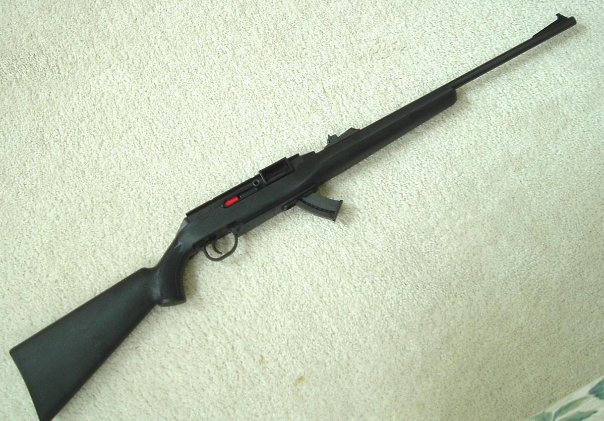the-next-chapter-remington-522-viper