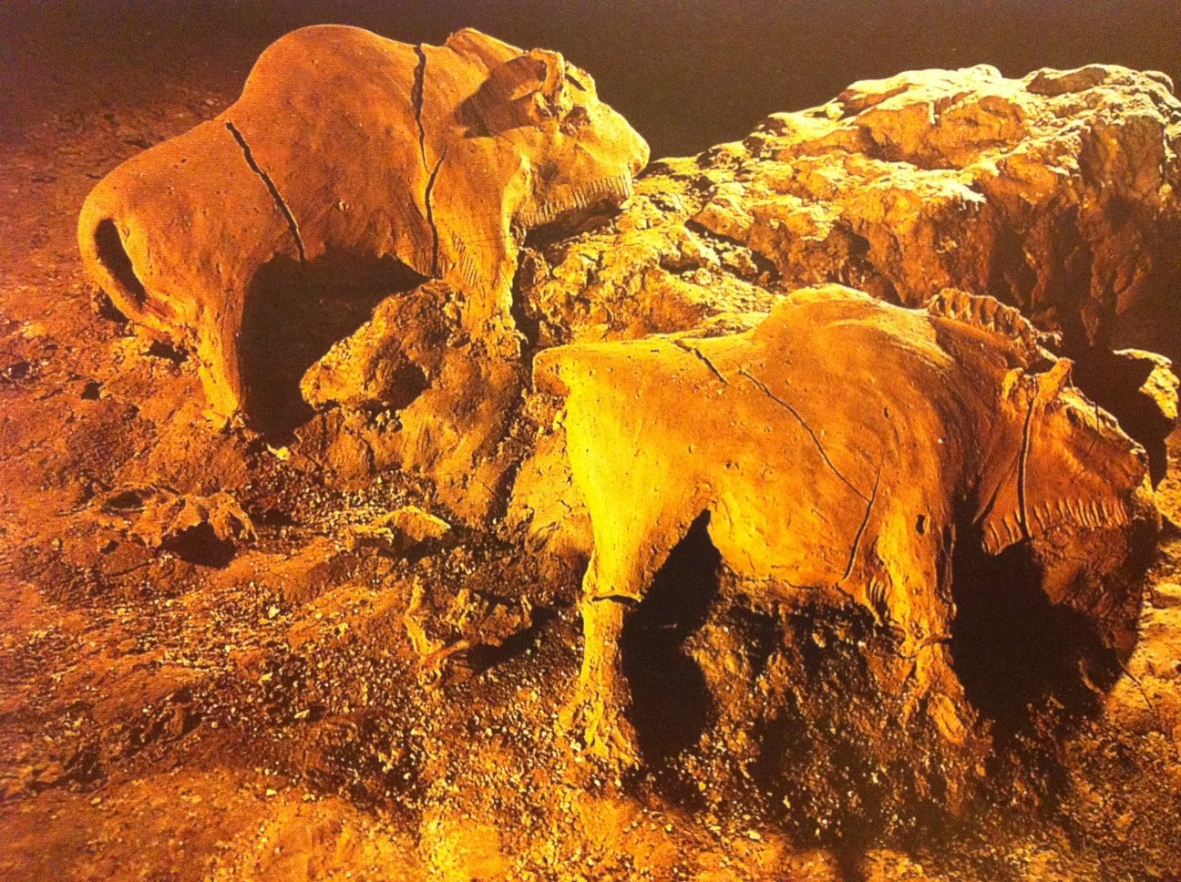 BeyondSharonStar: Paleolithic Observer
