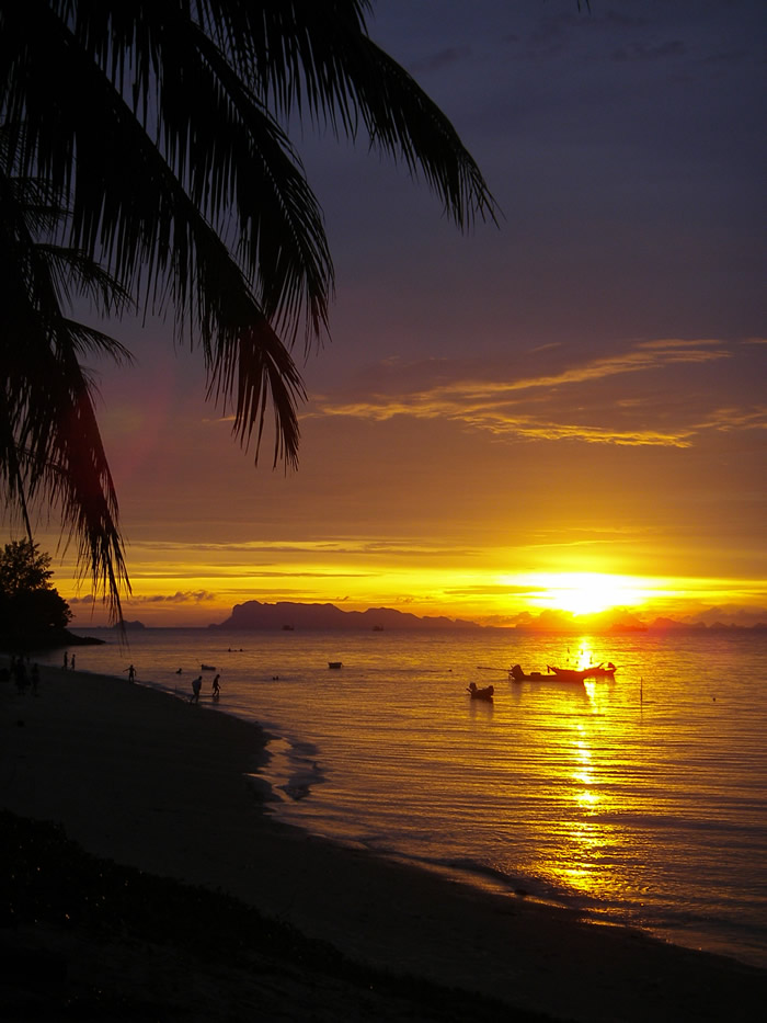 [Samui+may+07+004.jpg]