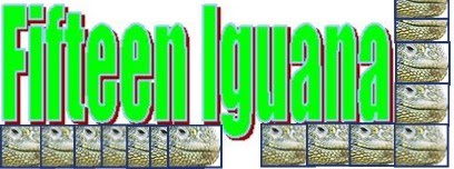 Fifteen Iguana