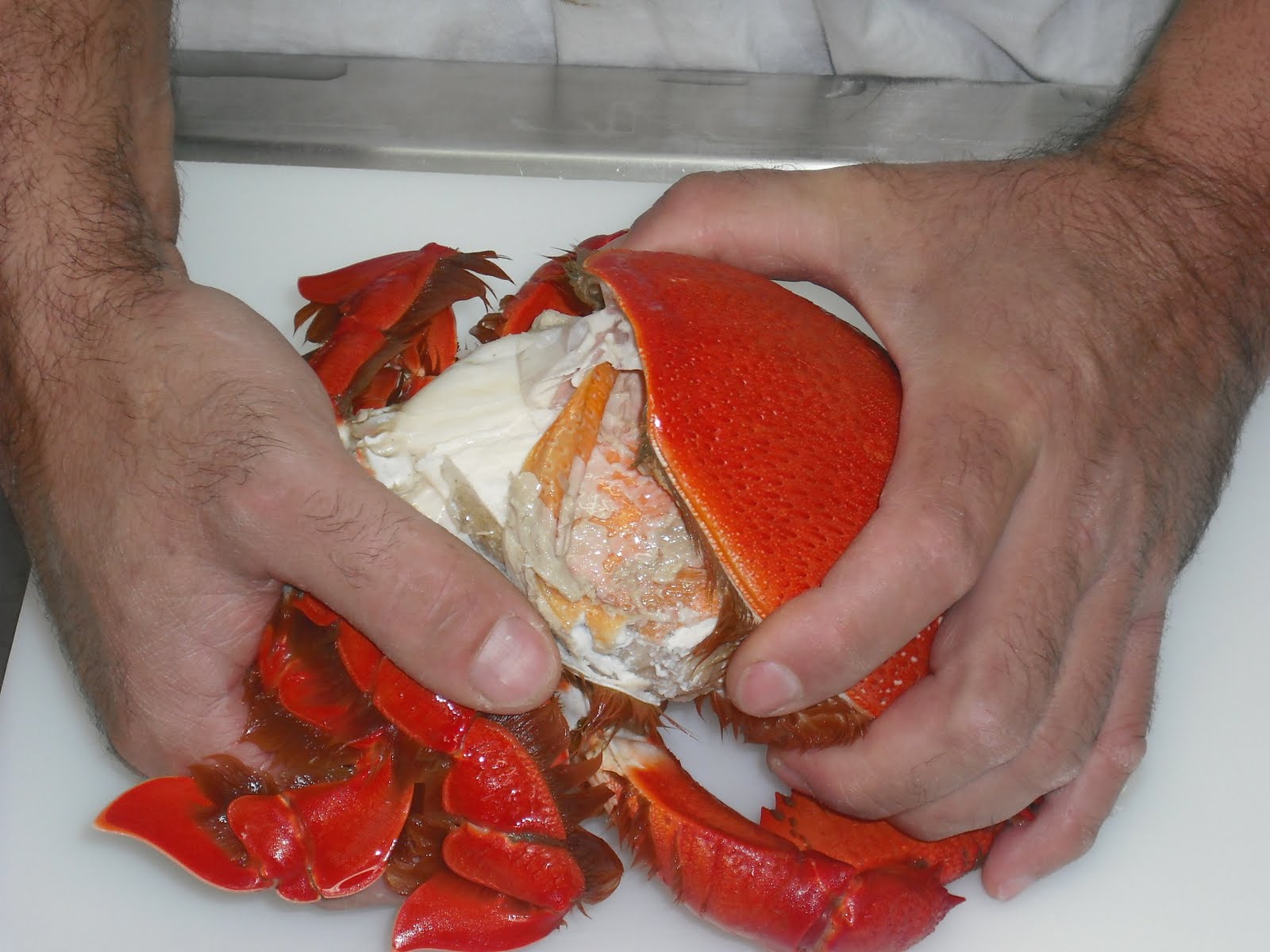 Spanner Crabs Noosa HOW TO CLEAN AND PICK A COOKED NOOSA SPANNER CRAB