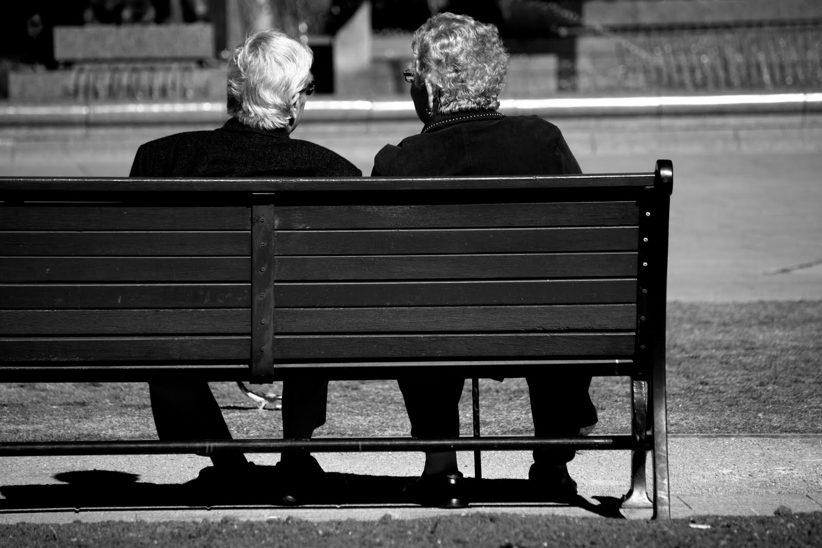 Thru my Sydney Eye Sitting in the morning sun