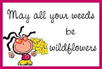may all weeds be wildflowers quote image