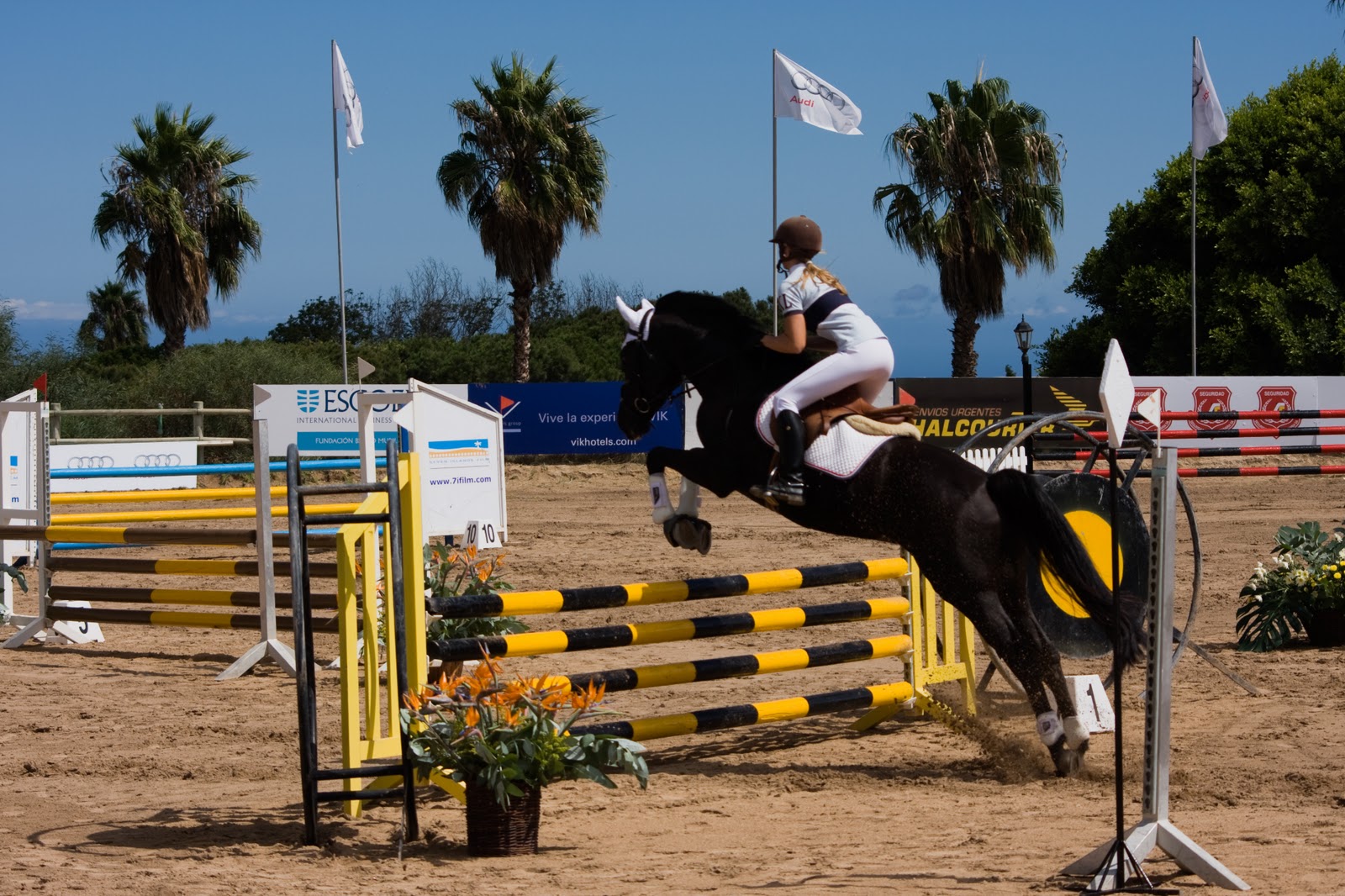 Gran Canaria "Un Paisaje por Descubrir" : XIII Copa Audi de Canarias 8 ...