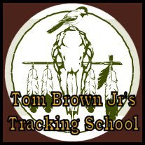 Tom Brown Jr. / School
