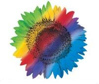 Jinius: Joining Communication & formalities @ WIPRO TECHNOLOGIES