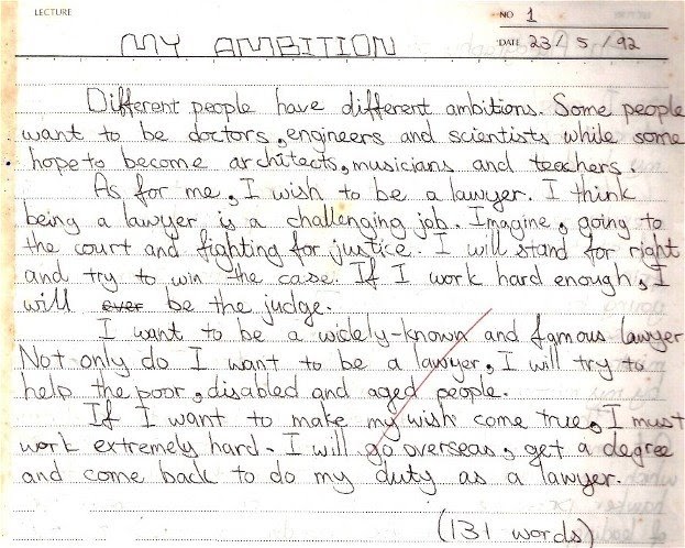 Ambitious essay