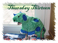 Thursday Thirteen - Dragonheart the Dragon