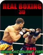 Download Real Boxing 3D - Jogo Celular