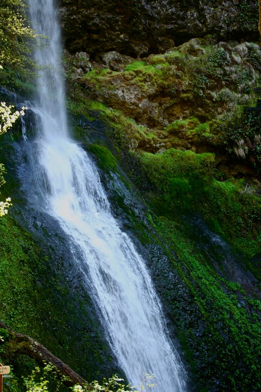 Northeast Road Trip >> Colorado Lifestyle: Oregon: Silver Falls State Park Northeast Road Trip >> Colorado Lifestyle: Oregon: Silver Falls State Park