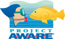 Project Aware...
