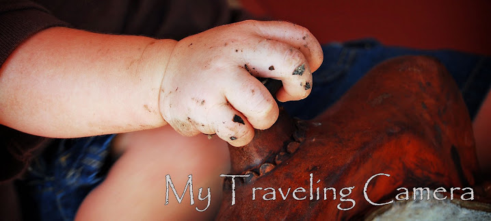 A Year In The Life Of My Traveling Camera