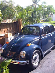 Norm's 69 Beetle