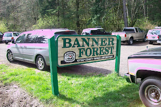 Extrahyperactive Mountain Biking In Banner Forest