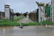 Inundaciones en Sanlúcar