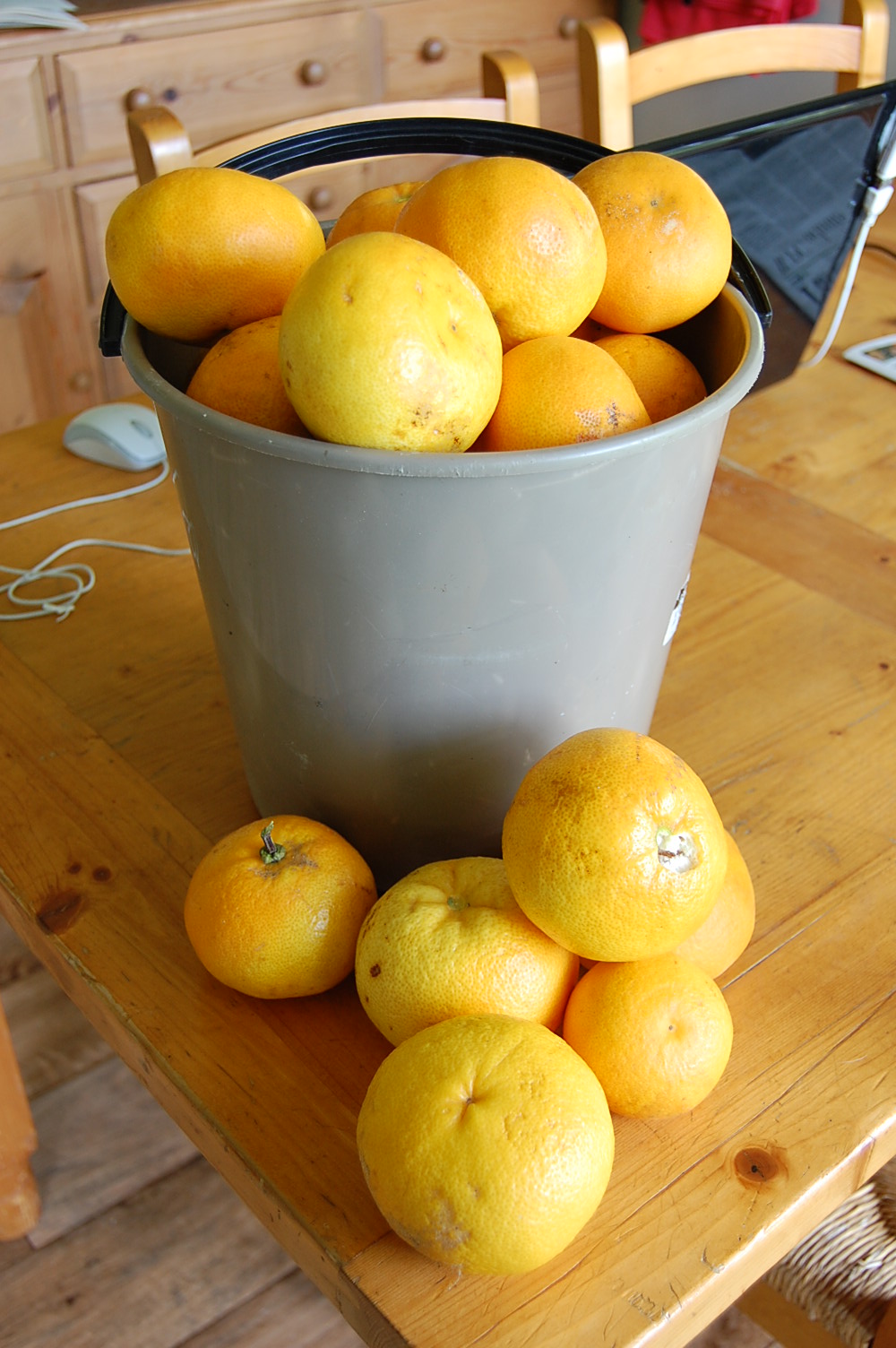 Living a Life at the Beach Home brewing Grapefruit wine