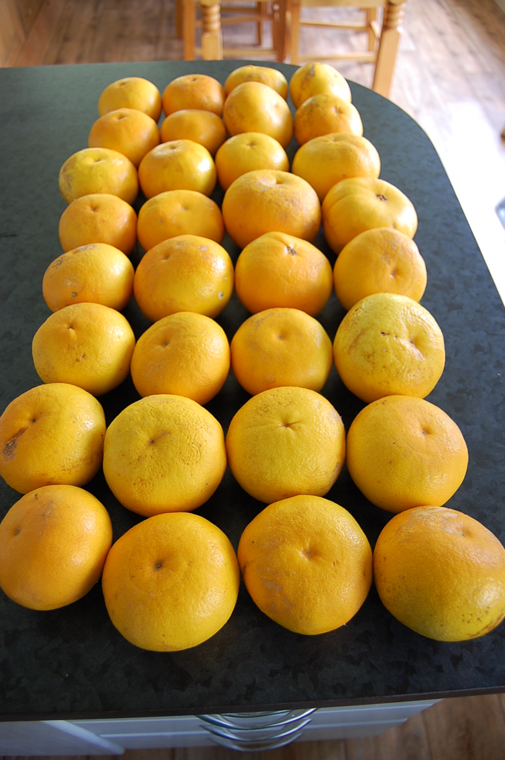 Living a Life at the Beach Home brewing Grapefruit wine