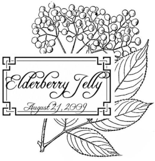 [sample+elderberry.jpg]