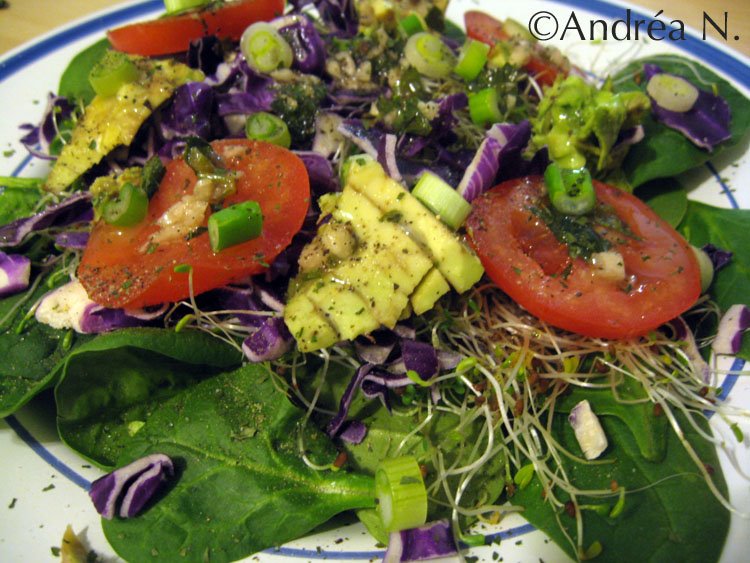 [salada+de+espinafre.jpg]
