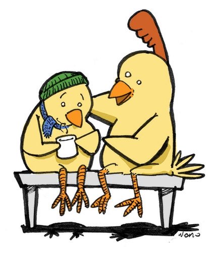 [frango+resfriado.JPG]