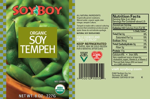 [soy-tempeh-detail.jpg]