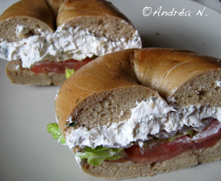 [Absolute+Bagels.jpg]
