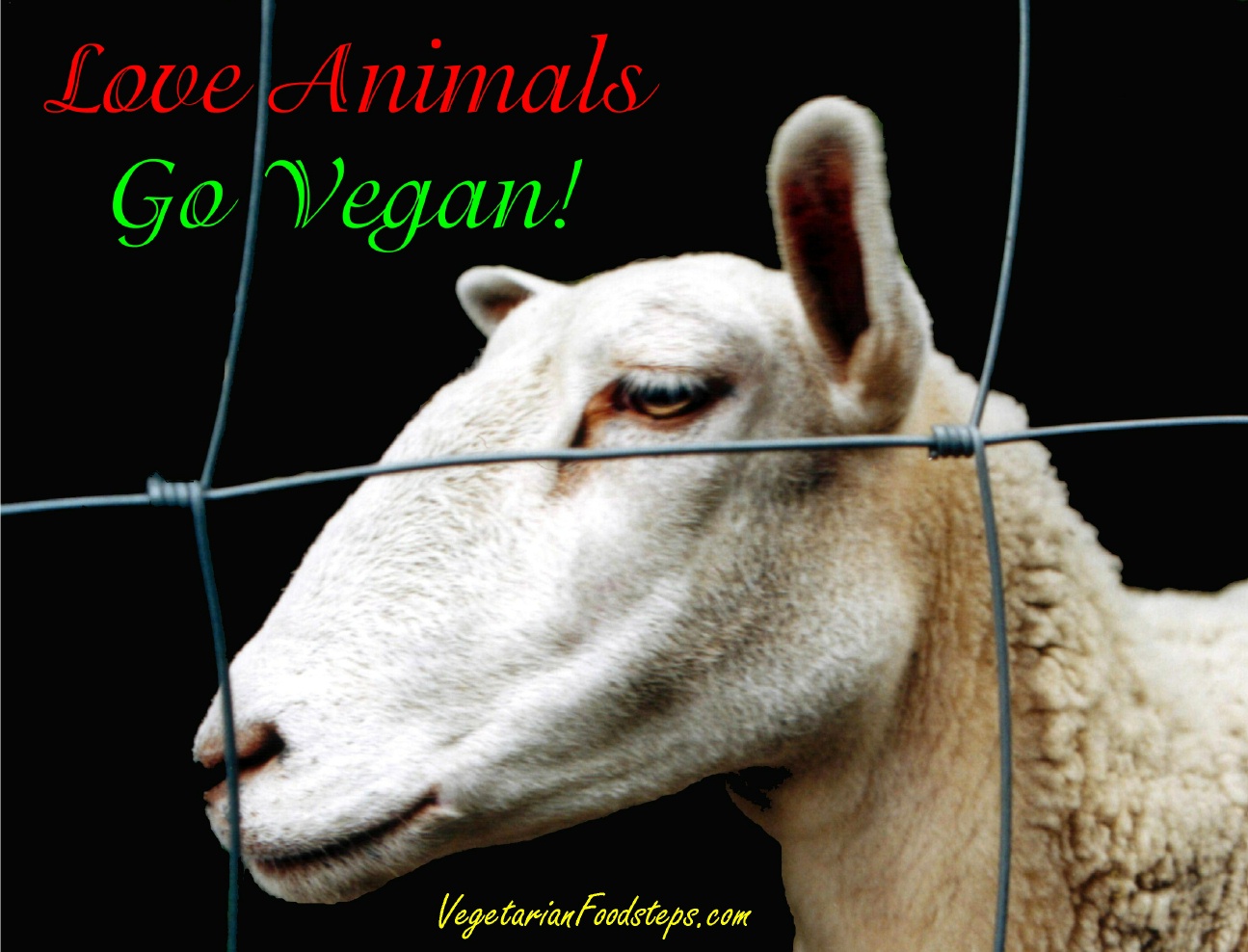 [GoVegan.jpg]