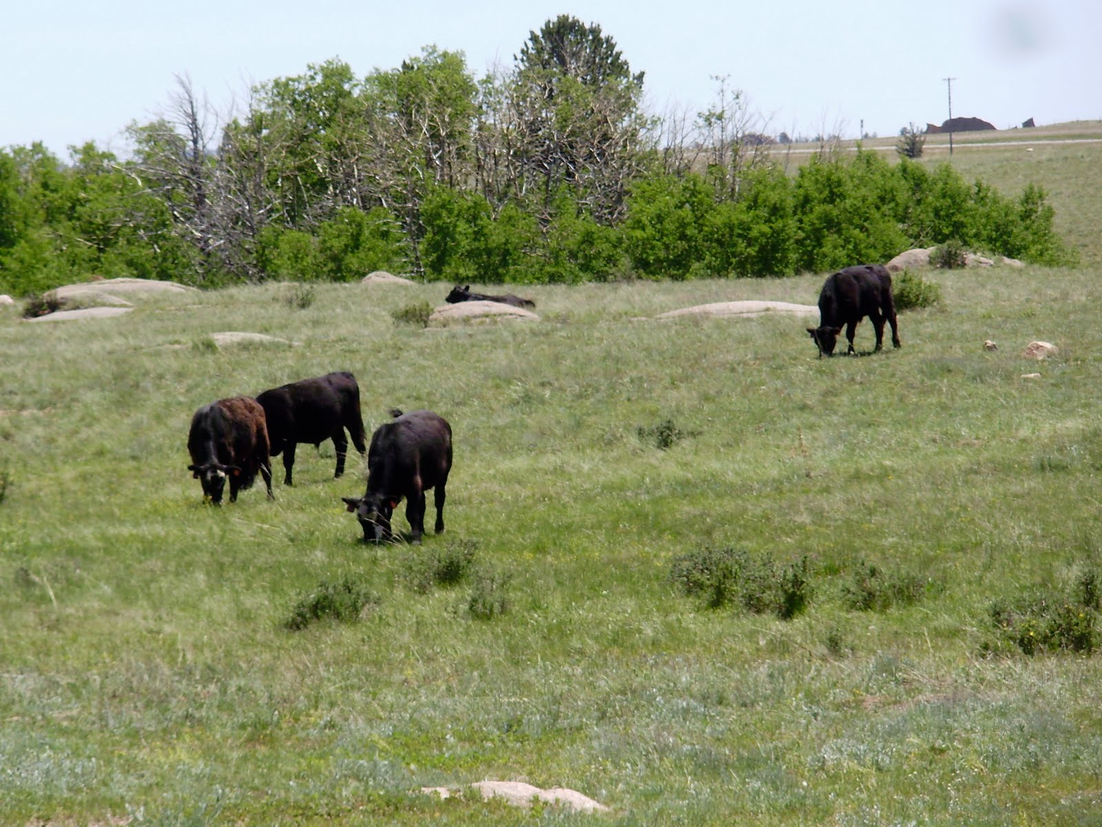 Life at 55 mph Vedauwoo in Medicine Bow National Forest in Wyoming