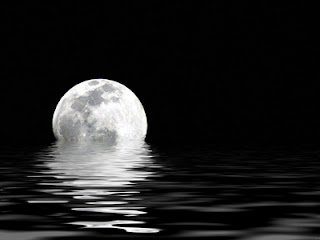 http://3.bp.blogspot.com/__dJLsk4KXnw/R3qSwrWIOkI/AAAAAAAACYg/qC20ZH7p9Ns/s320/A3gYeSWd.jpg