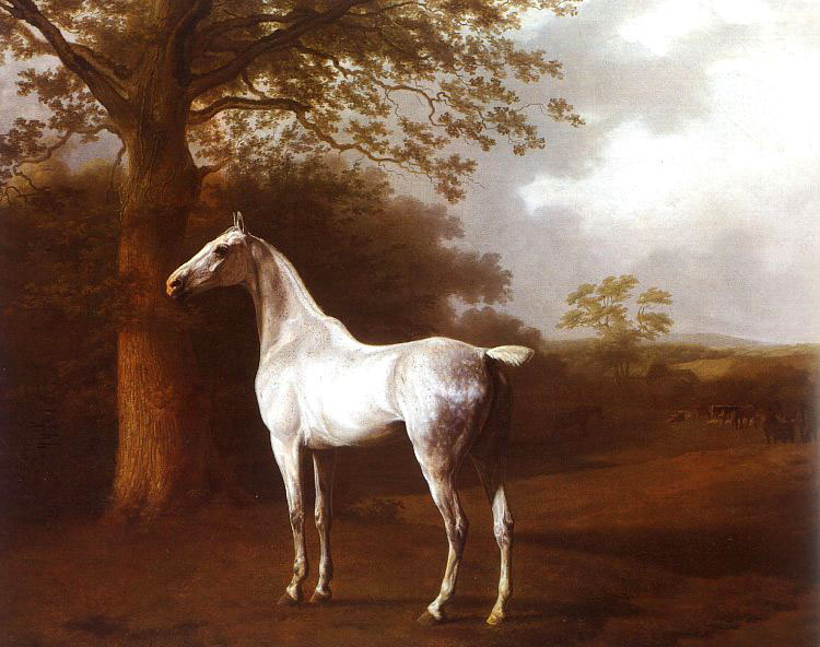 [white_horse_in_pasture-large.jpg]
