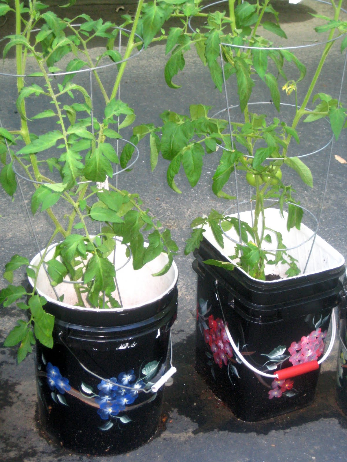 Recyclers Anonymous Creative Recycled Projects on a Budget Bucket Garden