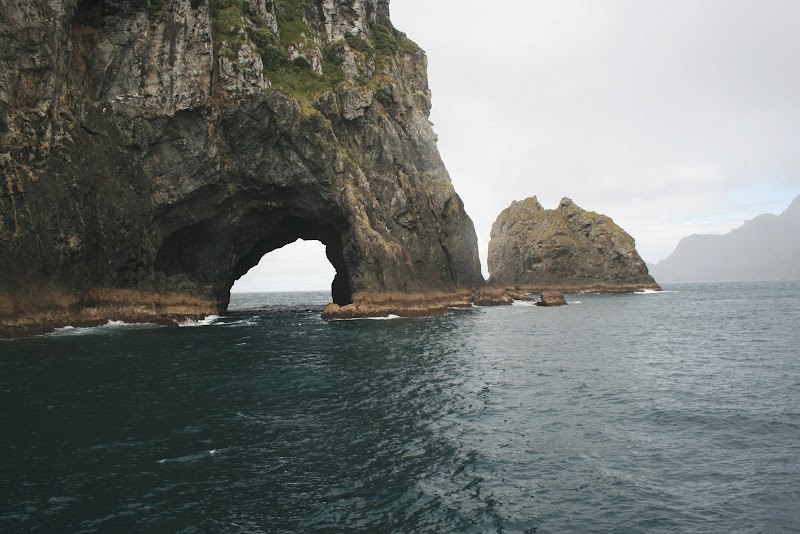 BAY OF ISLANDS - TRES SEMANAS POR NUEVA ZELANDA EN OCTUBRE DE 2008 (2)