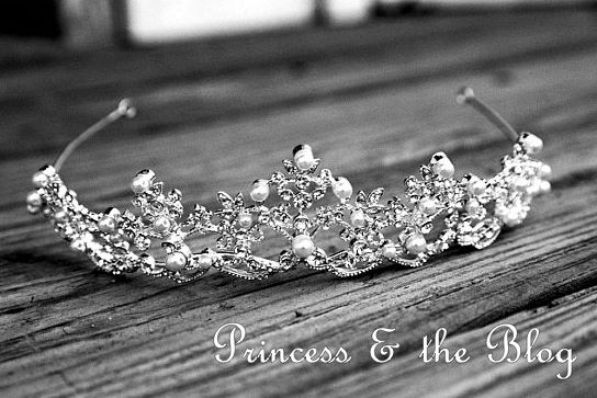 Princess & the Blog