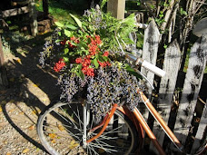 Yard Art Bicycle