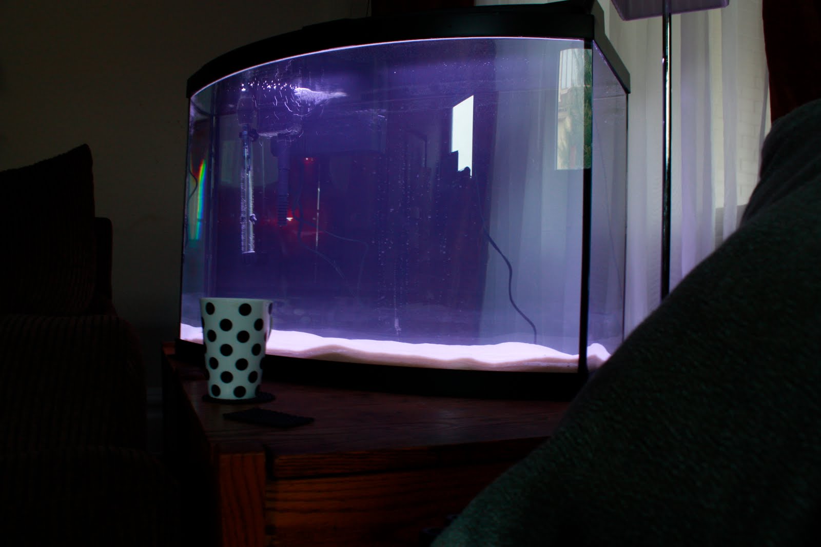 Zack's Blog Empty Aquarium