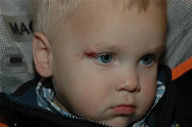 [DSC_0085+(Small).JPG]