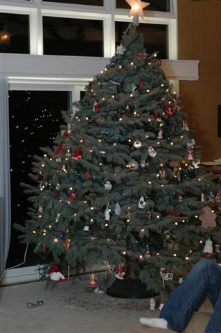 [DSC_0065+(Small).JPG]