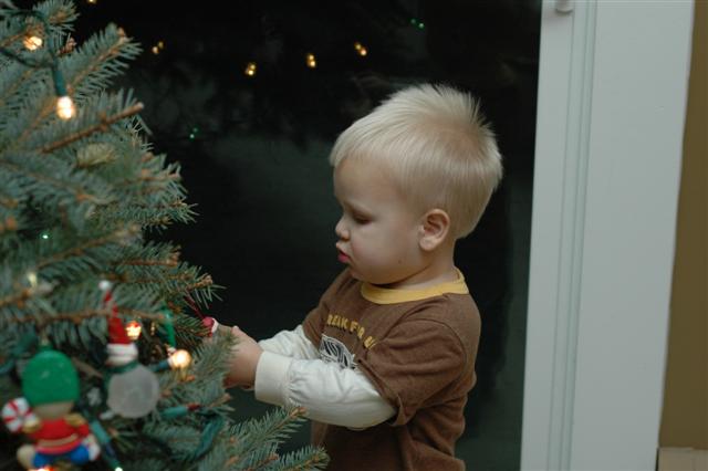 [DSC_0042+(Small).JPG]