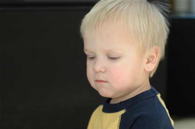 [DSC_0042+(Small).JPG]