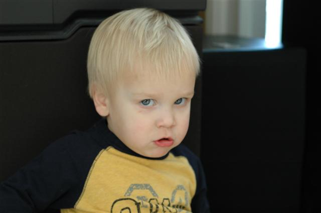 [DSC_0009+(Small).JPG]