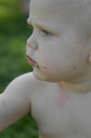 [_DSC0325+(Small).JPG]