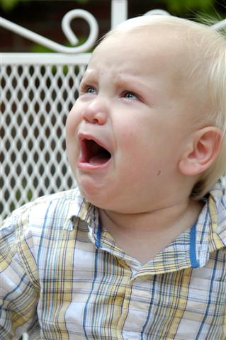 [_DSC0015+(Small).jpg]